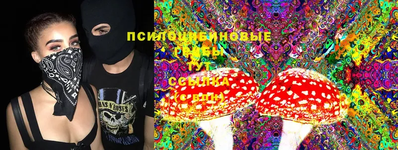 где продают   Можга  МЕГА вход  Псилоцибиновые грибы Magic Shrooms 